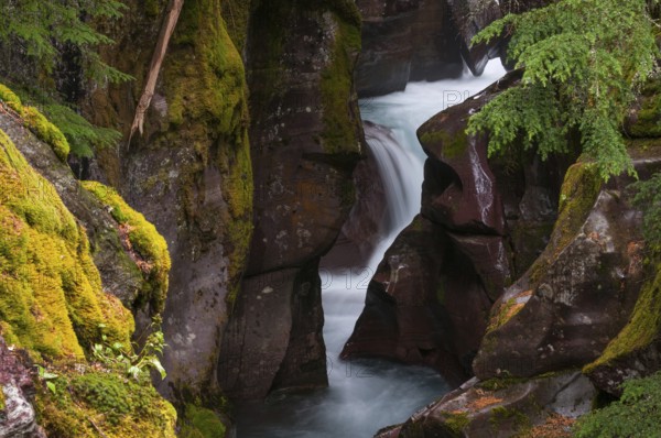Long exposure of the Avalanche Creek in the Glacier National Park in Montana Usa