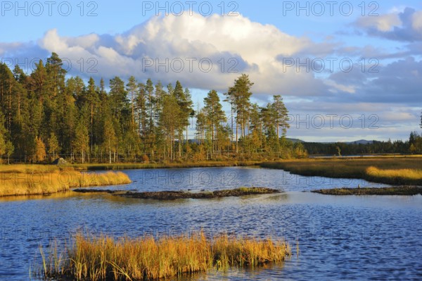 Evening at the lake in Sweden Evening at the lake in Sweden