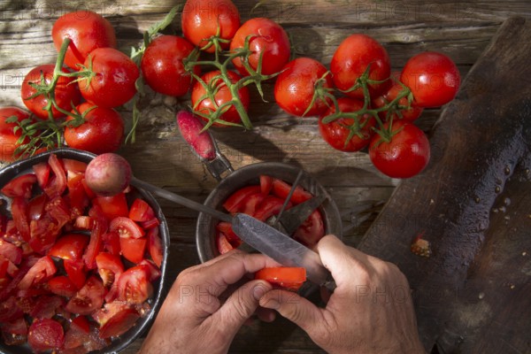 Preparation with strainer preserve fresh smooth round tomato