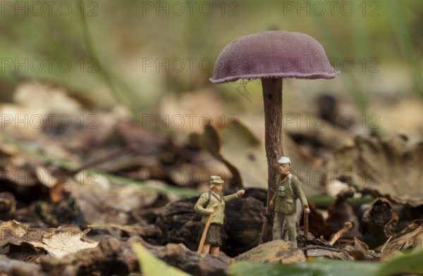 The forest rangers are talking under a mushroom in the forest, little figures from little world