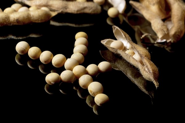 Soybeans forming Yuan symbol. Soybean market. Agriculture Soybean pods