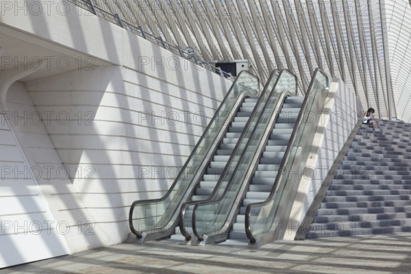 Liège-Guillemins train station by architect Santiago Calatrava, Liege, Belgium