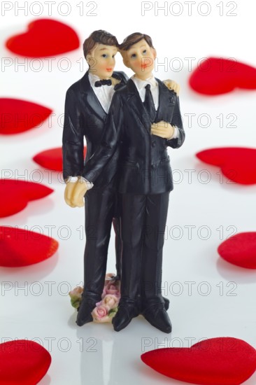 Same-sex male couple in detail