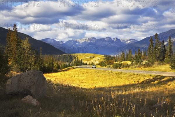 Charming glade with a yellow autumn grass and road beside in national park Jasper in Canada