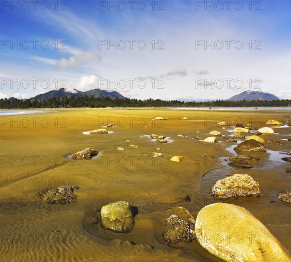Stones on beach Pacific ocean in the West of Canada