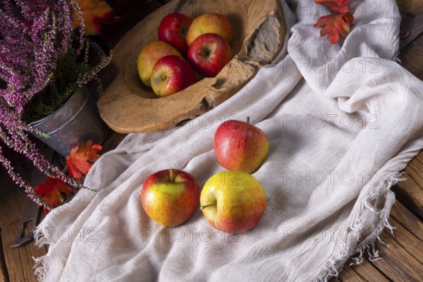 Malus sylvestris, the delicious European crab apple