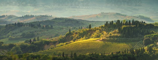 Fields in Tuscany