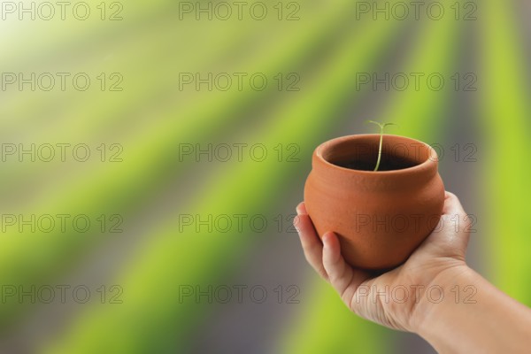 Child hand holding potted young plant over nature background