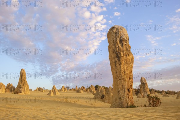 An image of the Pinnacles Desert at Nambung National Park Australia