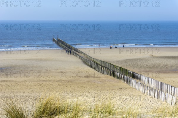 Beautiful sand dunes at the Seaside with beach grass and blue sky and a view of the blue sea. Sandy beach at the Seaside with Blue Sky and a wide landscape with the blue sea