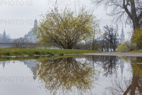 The towers of Dresden's old town are reflected in a puddle on the Königsufer when it rains, Dresden, Saxony, Germany