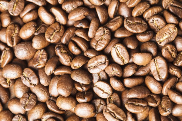 Close up view of roasted coffee beans