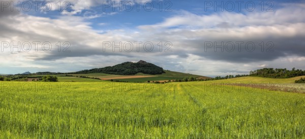 Summer landscape in Central Bohemian Uplands, Czech Republic. Panorama image