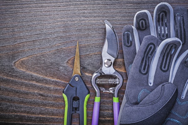 Working safety gloves garden shears secateurs on wooden board