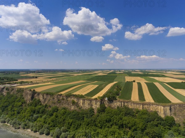Aerial view of colorful fields on high bank of Danube river in Serbia