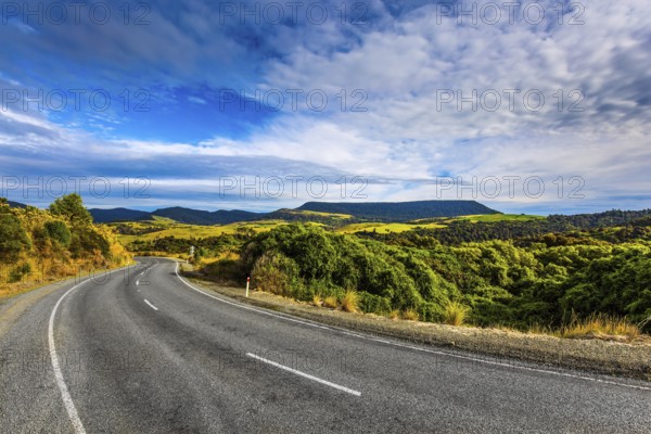 The road to Knight's Point Lookout. Asphalt highway among yellowed autumn vegetation. Picturesque overgrown shores. New Zealand, South Island