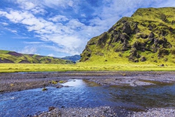 Pakgil Canyon - green grass and moss on the rocks. At the bottom of canyon flows small fast creek. Summer blooming Iceland