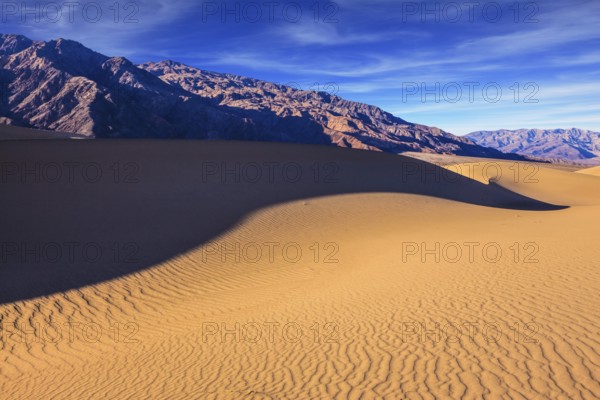 Mesquite Flat Sand Dunes. Bright solar morning in picturesque part of Death Valley. Slopes of sandy barkhans shine orange light. Deep shadows in flat hollows