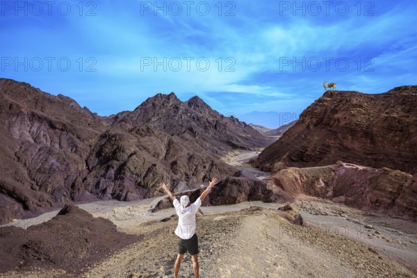Lone tourist threw his hands up in delight in Eilat Mountains. Unique outcrops in the mountains of pink sandstone