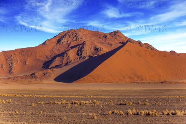 Orange, red and yellow dunes of the Namib desert. The concept of extreme and exotic tourism. Namibia, South Africa. Sunset in the desert