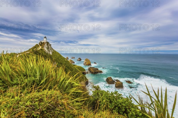 Nugget Point Lighthouse on the cape of the Kathlins coast of the South Island. Travel to New Zealand. The concept of active, eco and photo tourism