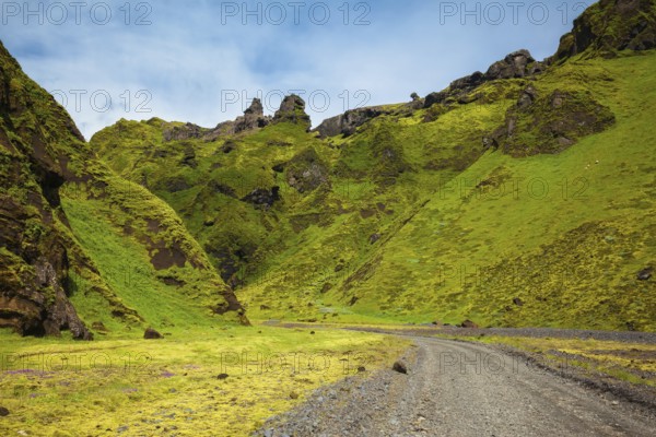 The summer blossoming Iceland. A canyon Pakgil - green grass and moss on fantastic rocks. On canyon there is dirt road