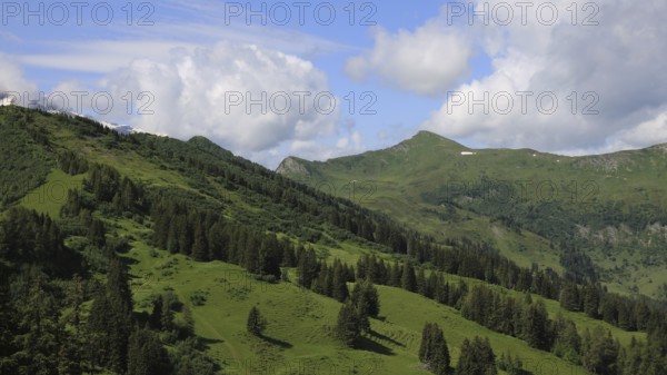 Green mountain meadows and forest in Gsteig near Gstaad. Arnehore