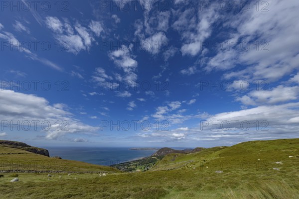 Hilly landscape with green meadows, sheep and stone wall, dry stone wall on the edge of Snowdonia National Park, Penmaenmawr, Dwygyfylchi, Caernarfonshire, Conwy County Borough, Wales, United Kingdom