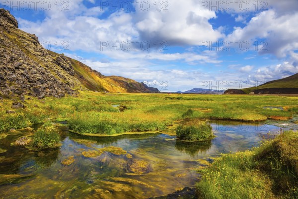 The picturesque valley in Landmannalaugar national park. Summer in Iceland. Green grass among hot springs