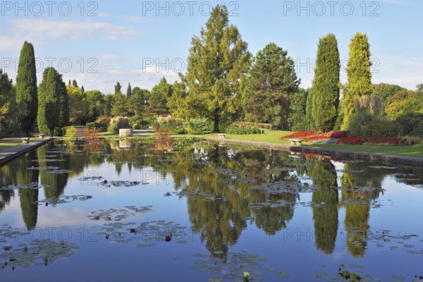 Magnificent Italian park at sunset. Smooth water of a pond reflects coastal cypresses and picturesque bushes