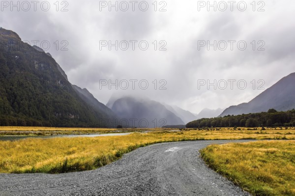 Dirt road to sea fjord Milford Sound. South Island of New Zealand. Fields with yellow autumn grass are surrounded by mountainsides in the fogs. The concept of photo tourism