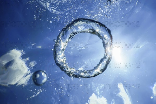Underwater Bubble Ring Ascends towards the Sun