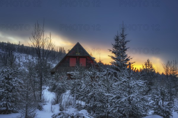 Wooden cottage with red shutters in winter at sunrise in Slovakia