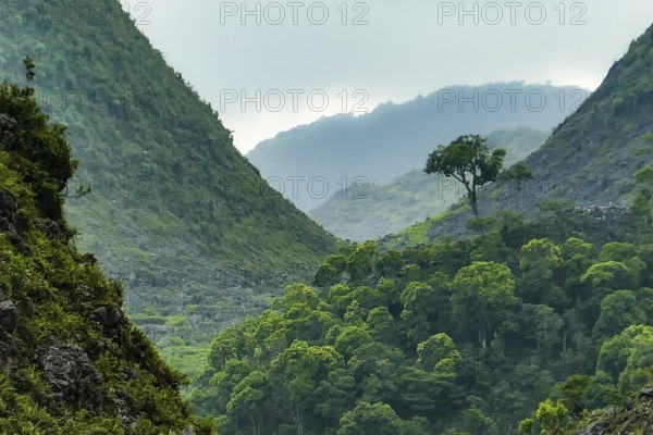 Typical Vietnamese landscape in spring with green vegetation