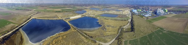 Offstein sewage ponds, ponds of a sugar factory in Rhineland-Palatinate, bird sanctuary, Offstein sewage ponds, Worms district, Rhineland-Palatinate, Germany