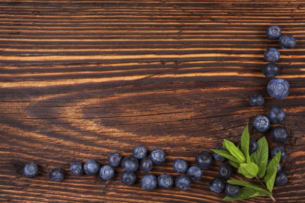 Fresh blueberry background with copyspace. Ripe fresh blueberries on rustic wooden background, top view. Healthy summer fruit eating
