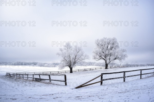 Snow-covered landscape in winter in Masuria in eastern Poland