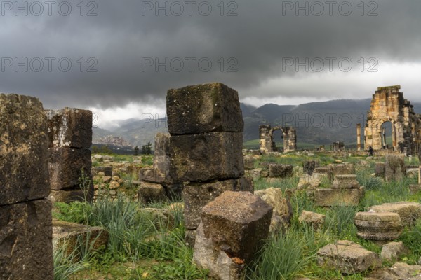 Volubilis, Morocco, 3 March, 2024: view of the Roman city ruins of Volubilis near Meknes in northern Morocco