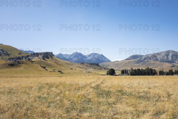 An image of a landscape scenery at Castle Hill New Zealand
