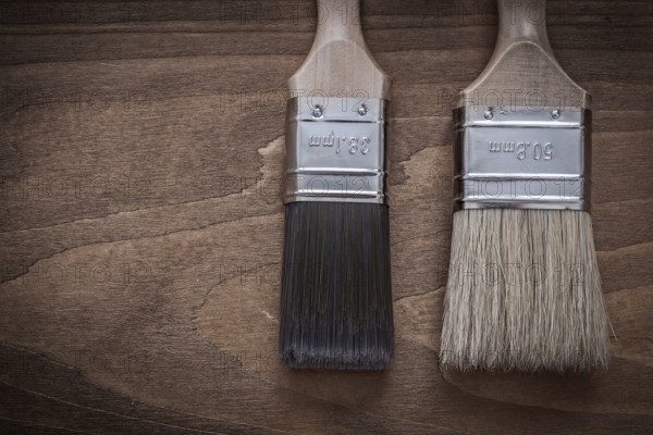 Two paintbrushes with wood handles and bristle horizontal version