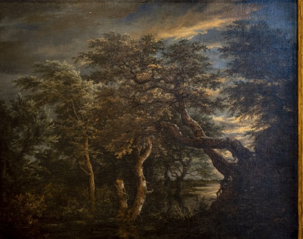 Jacob Isaacksz Van Ruisdael, A marsh in a forest at dusk, 1665, oil on panel, Museo de Bellas Artes, Bilbao, Spain