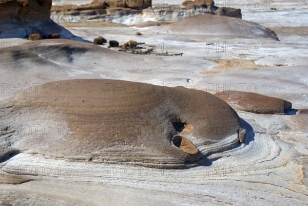Soil formation, Virani, Kutch, Gujarat, India