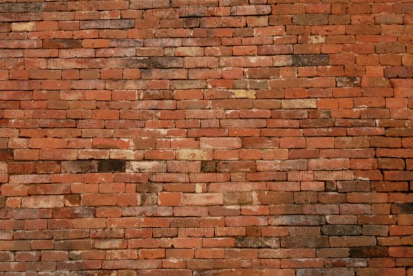 Brick wall ruins of Nalanda University first residential International University of world, district Nalanda, Bihar, India World Heritage