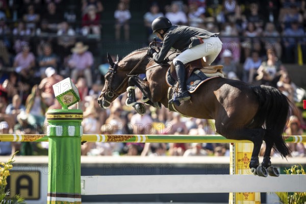 Harrie Smolders of The Netherlands and riding Uricas V/D Kattevennen compete in the first round of the 1.60m CPKC International during the Spruce Meadows Masters, presented by Rolex, in Calgary, Alberta, Canada, North America