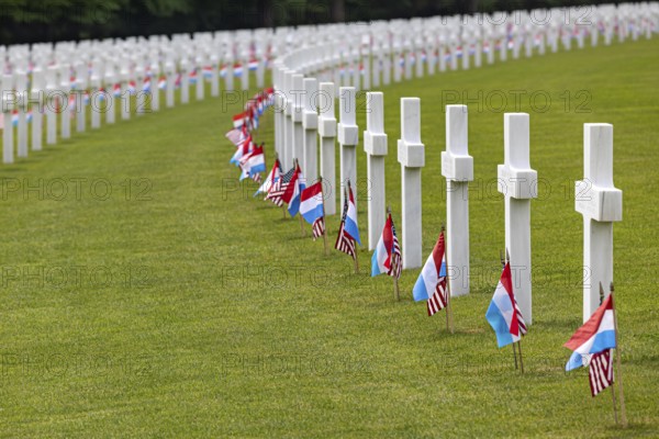 White crosses with Luxembourgish and American flags at a cemetery, Luxembourg American Cemetery and Memoria, Luxembourg, Grand Duchy of Luxembourg
