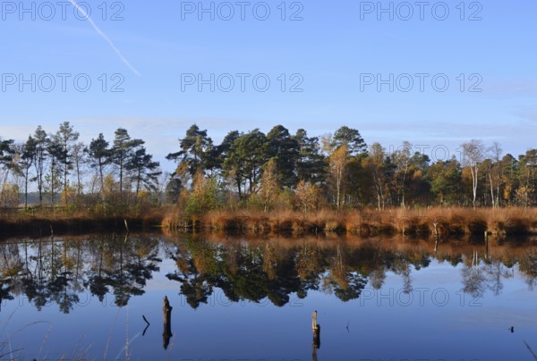 Landscape in Autumn in the Fen Pietzmoor, Schneverdingen, Lower Saxony, Germany. Landscape in Autumn in the Pietzmoor, Schneverdingen, Lower Saxony, Germany