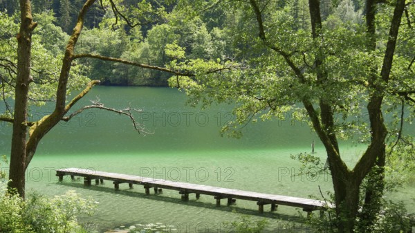 Boat and bathing jetty on emerald-green Lake Thumsee