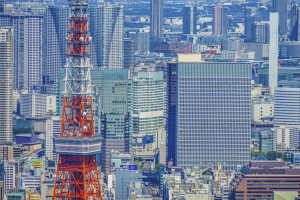 Tokyo Tower and urban landscape. Shooting Location: Tokyo metropolitan area