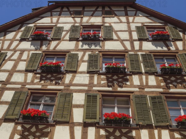 Detailed view of a half-timbered façade with flower boxes full of red flowers and shutters against a blue sky, Meersburg, Lake Constance, Germany