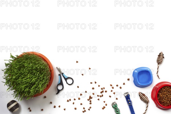 Flat lay composition with accessories for a cat, such as delicious dry food and water in a bowls, toys as mouses and ball, claw clippers, leashes and green grass isolated on white background. Pet care and feeding concept. Copy space. Top view